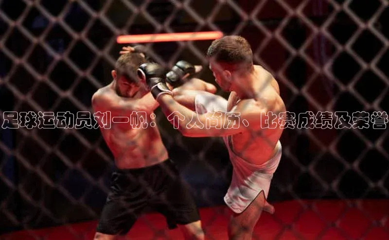 8868体育手机版登录入口百度手机卫士足球运动员刘一帆：个人简历、比赛成绩及荣誉