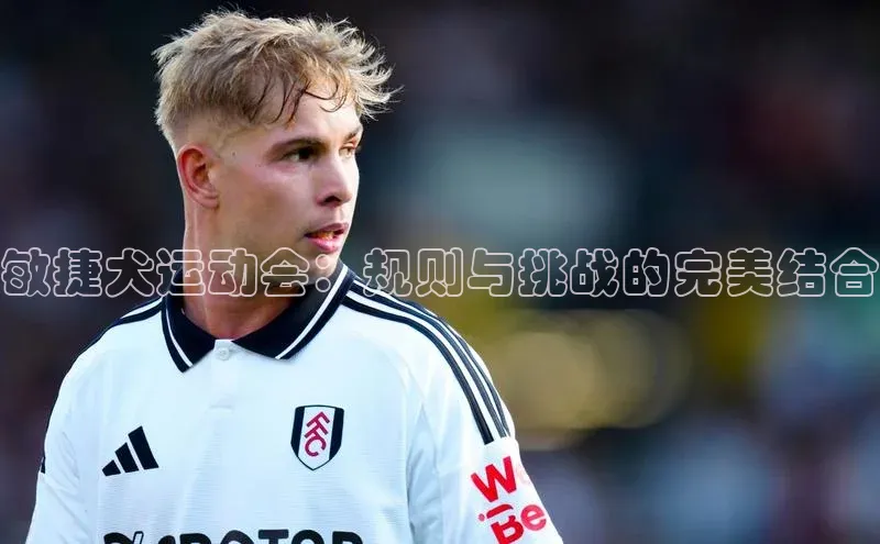 8868体育APP光魔科技敏捷犬运动会：规则与挑战的完美结合