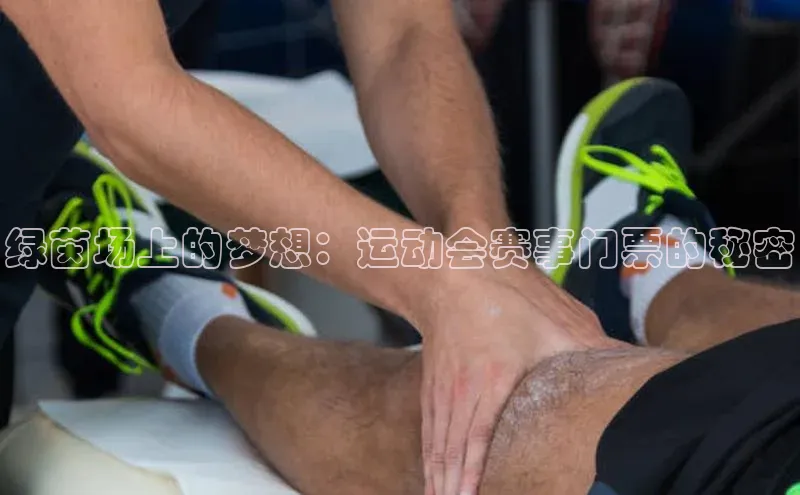 8868体育下载app小度商城绿茵场上的梦想：运动会赛事门票的秘密