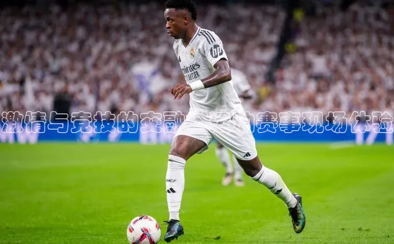 激情与竞技的交融：运动赛事现场体验