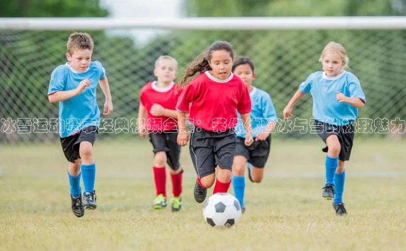 冰雪运动赛事经典视频全集：带你体验冰与雪的极致魅力
