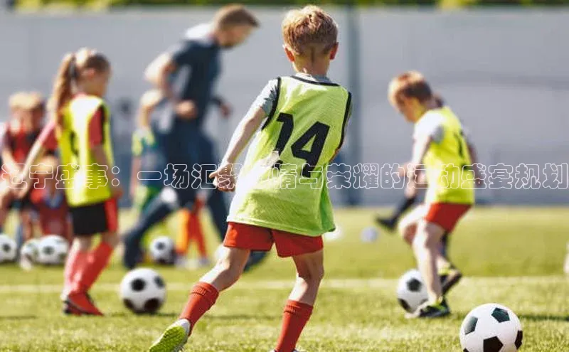 辽宁盛事：一场汇聚激情与荣耀的运动盛宴规划