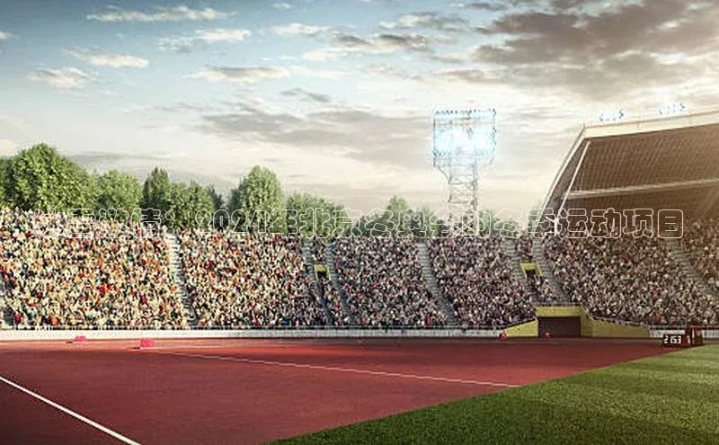 冰雪激情：2024年北京冬奥会的冬季运动项目