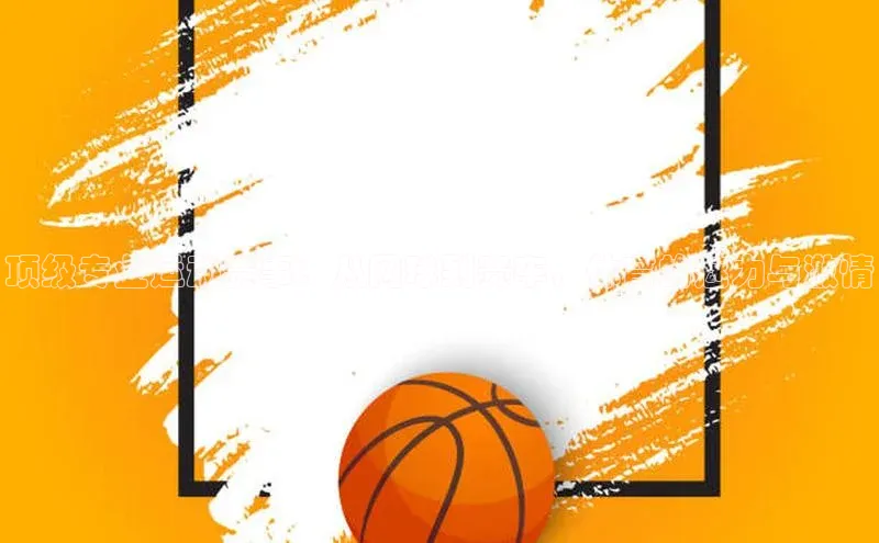 顶级专业运动赛事：从网球到赛车，体育的魅力与激情