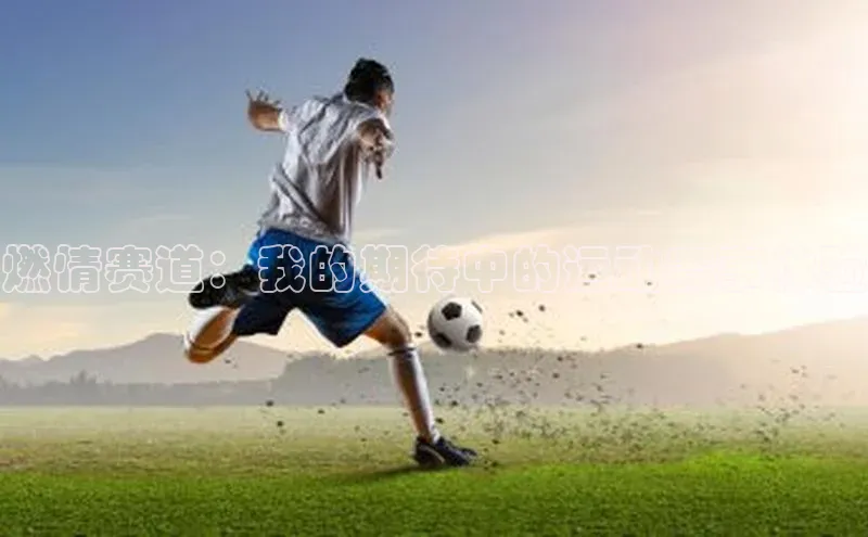 燃情赛道：我的期待中的运动赛事体验