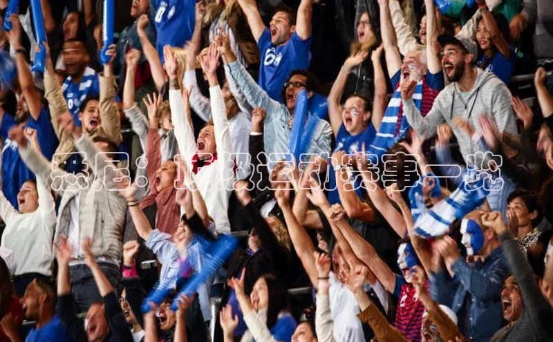 悉尼：顶级运动赛事一览